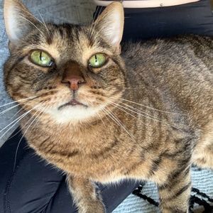 Meet your Posher, Carree